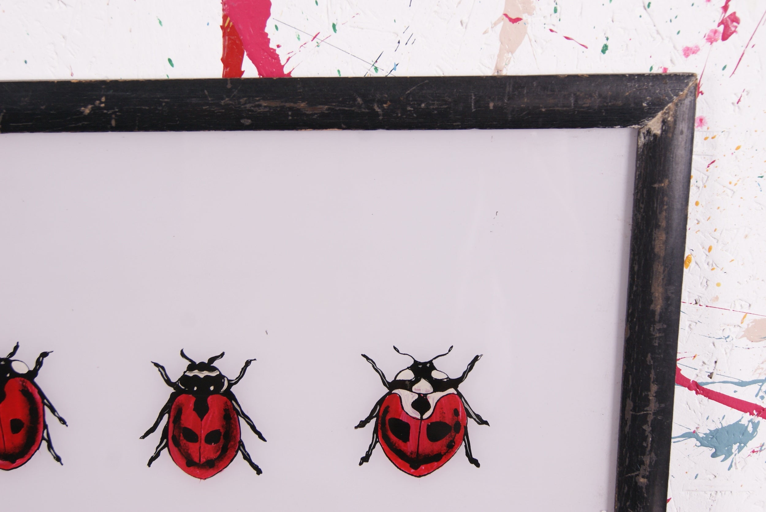 ladybirds-picture-2