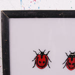 ladybirds-picture-3