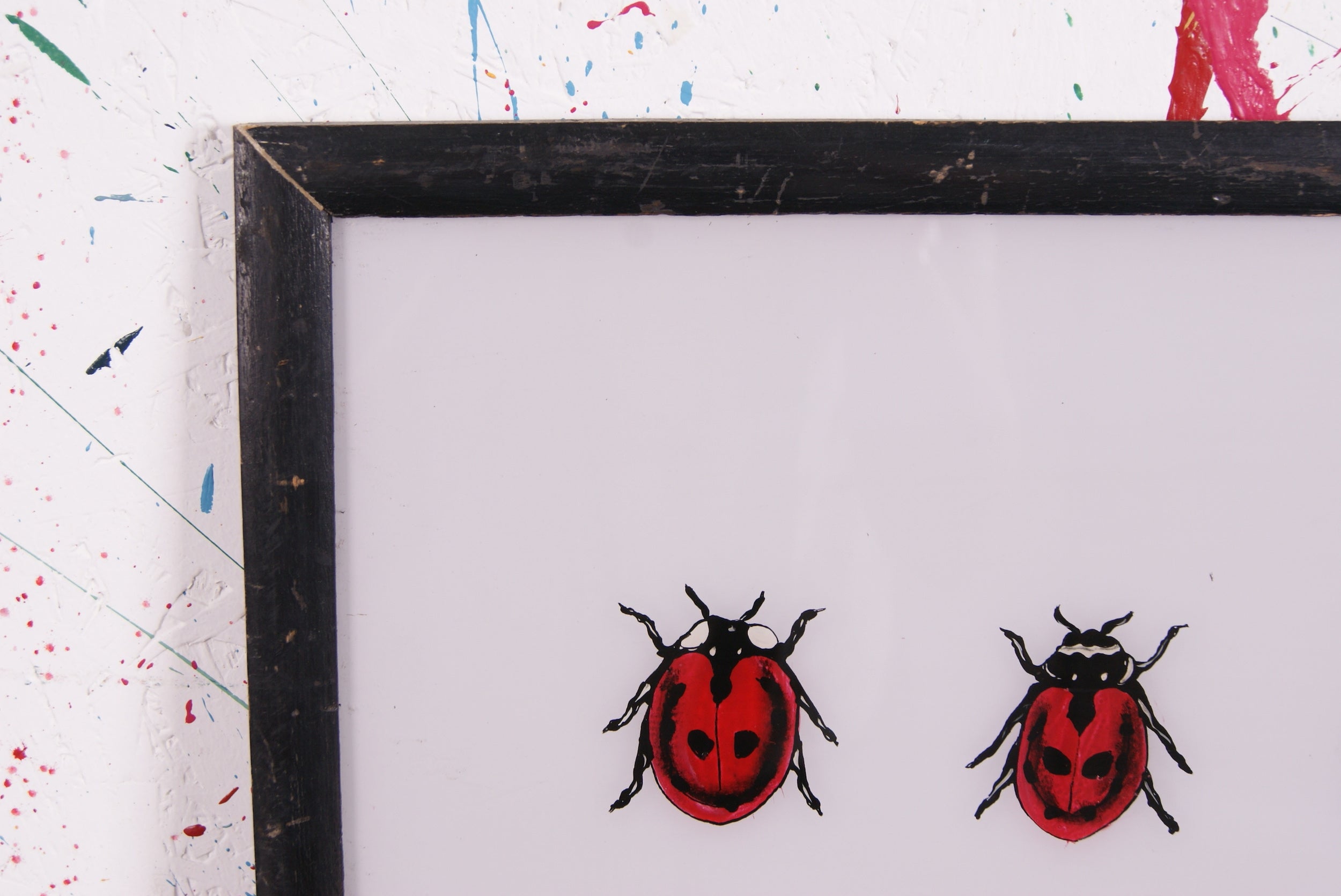 ladybirds-picture-3