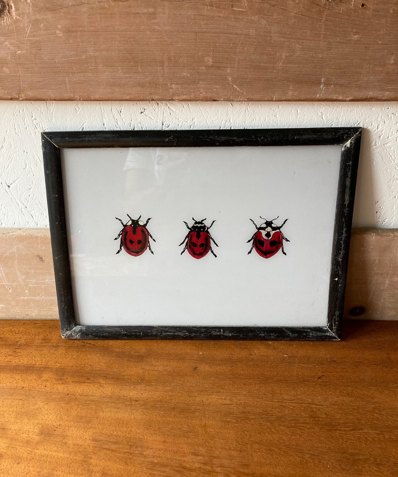 ladybirds-picture