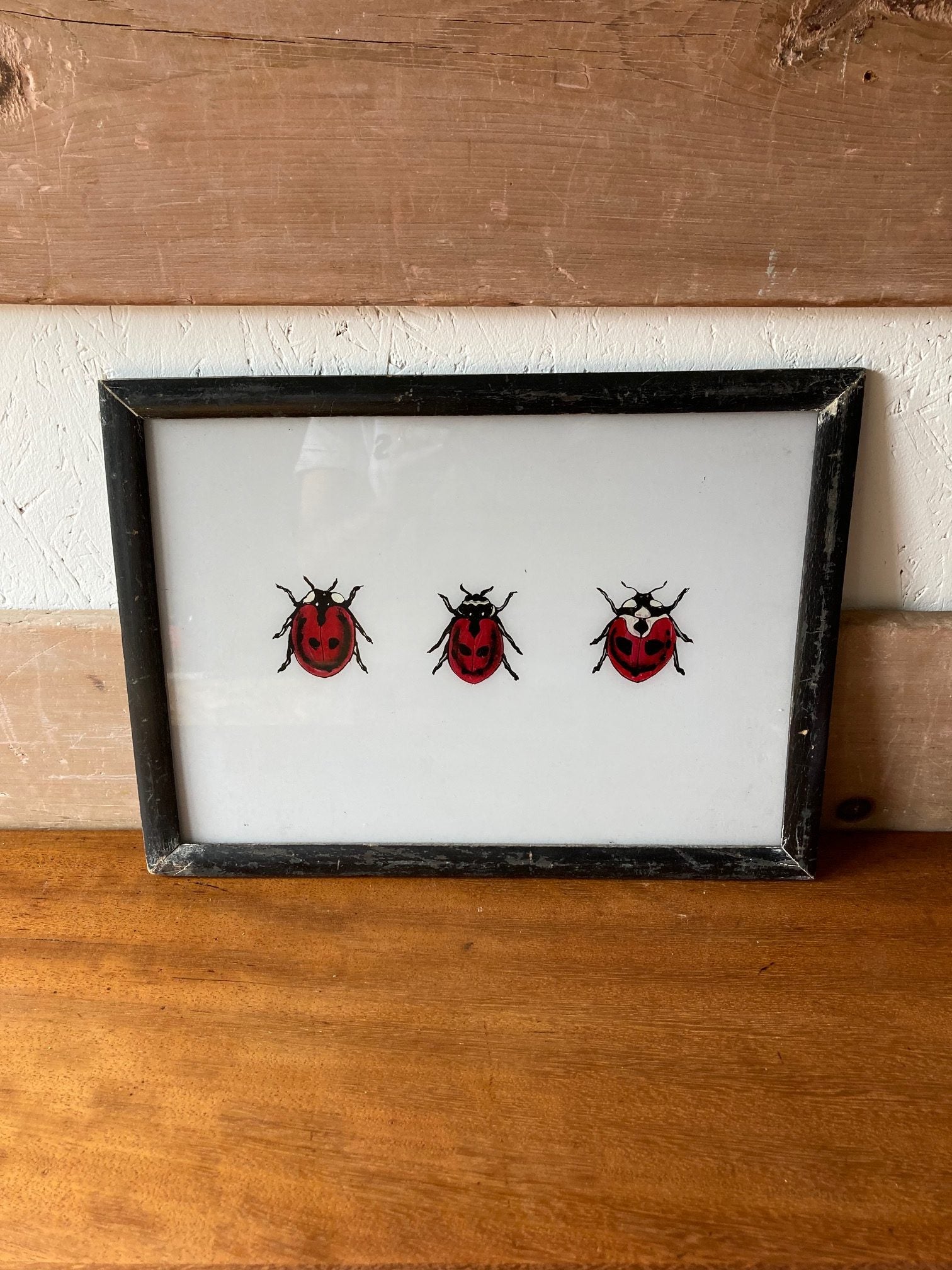ladybirds-picture
