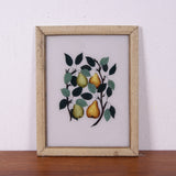 lemons-pears-picture-1