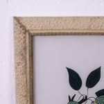lemons-pears-picture-3