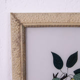 lemons-pears-picture-3