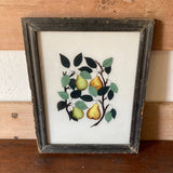 lemons-pears-picture