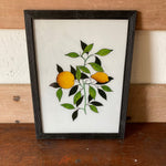 lemons-picture