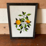lemons-picture