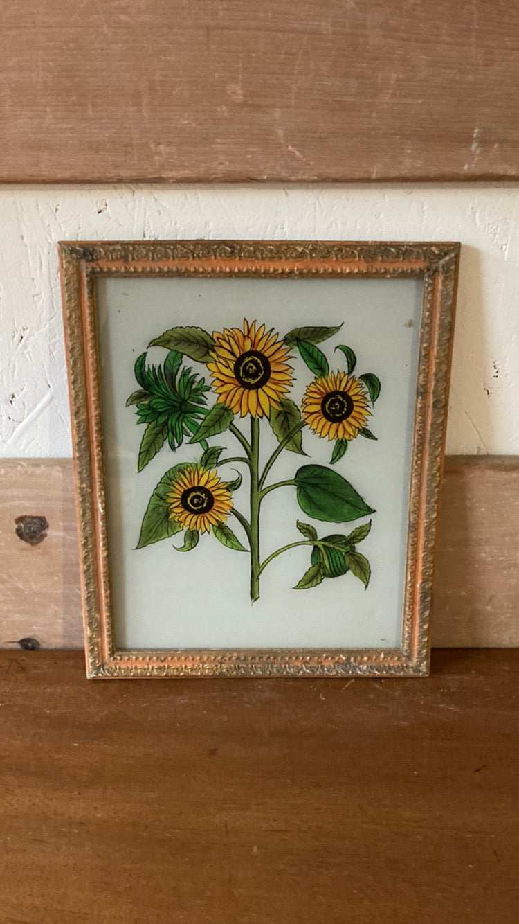 medium-sunflowers-picture