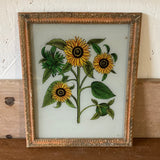 medium-sunflowers-picture