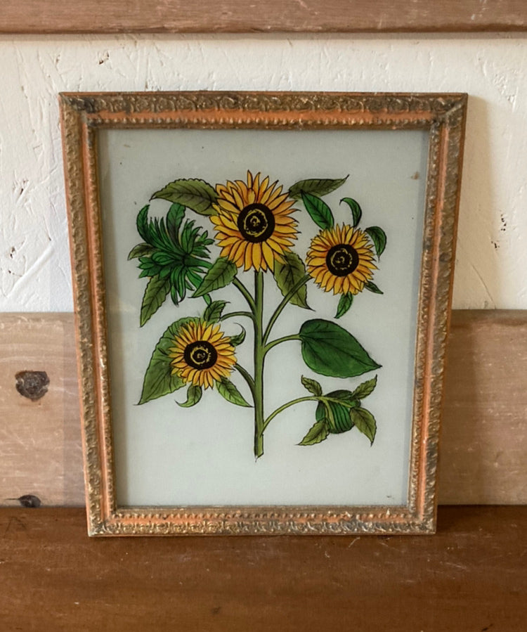 medium-sunflowers-picture