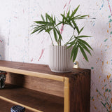 mustard-display-shelf-4