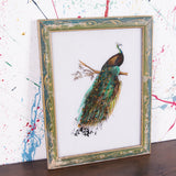 peacock-picture-1