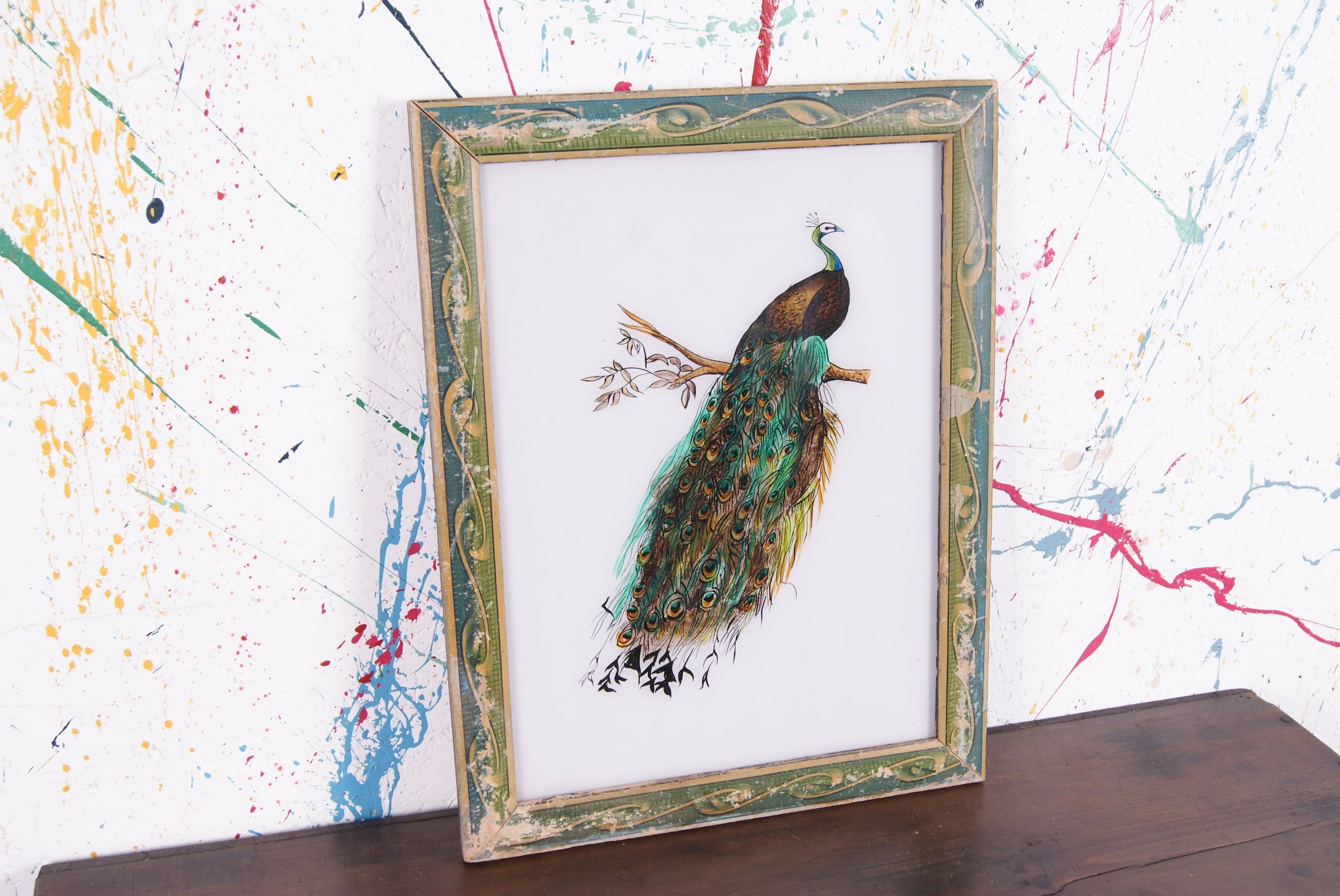 peacock-picture-1