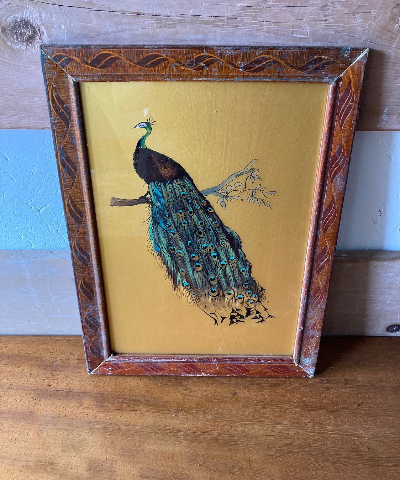 peacock-picture-2