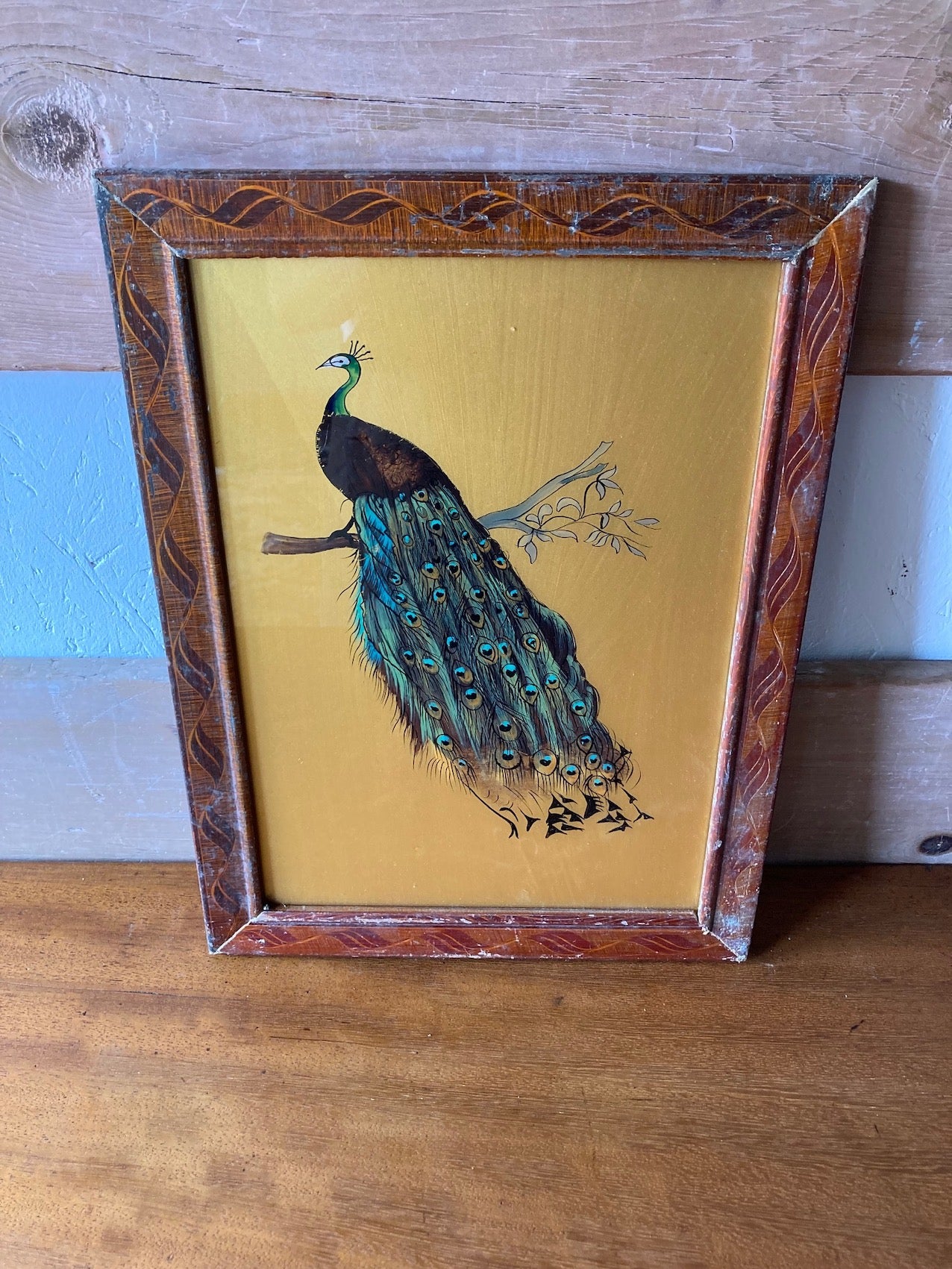 peacock-picture-2