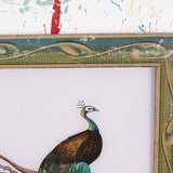 peacock-picture-2