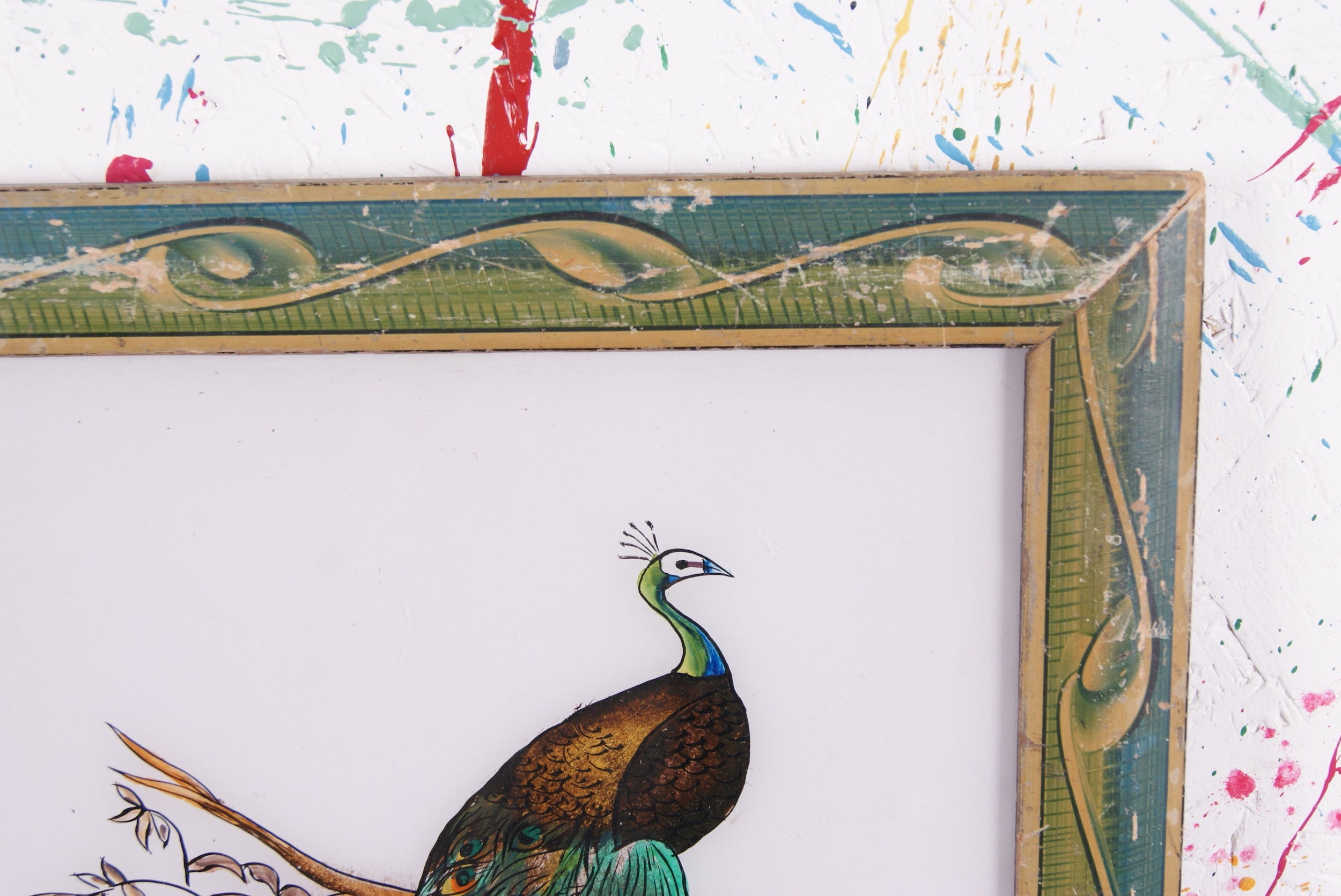 peacock-picture-2