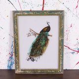 peacock-picture-3