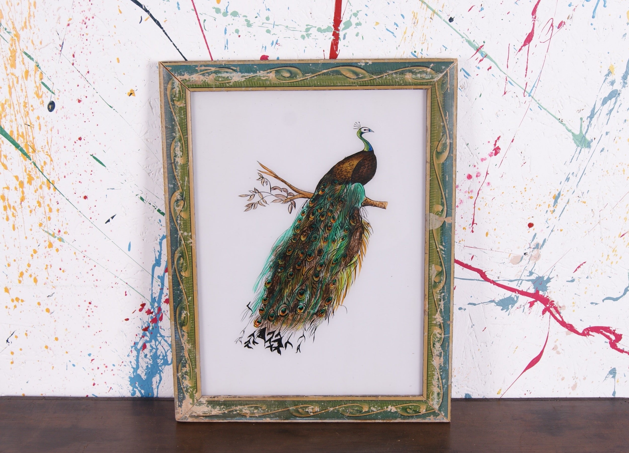 peacock-picture-3