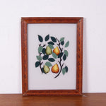 pears-lemons-picture-1