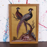 pheasants-picture-1
