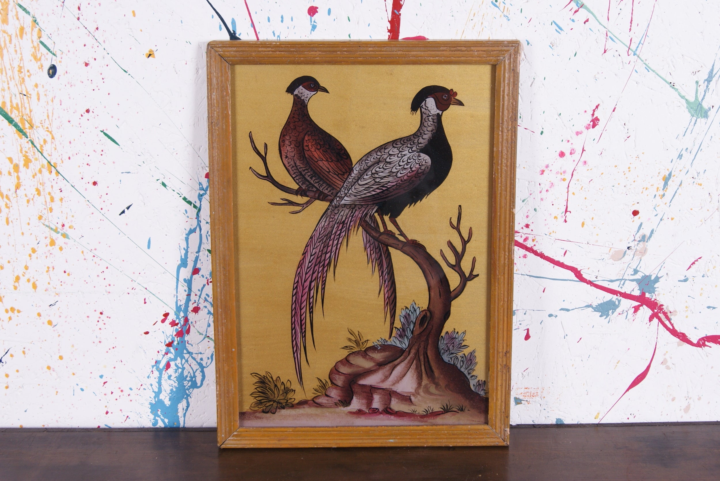 pheasants-picture-1