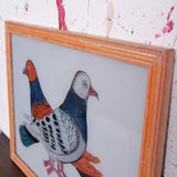 pigeons-picture-2