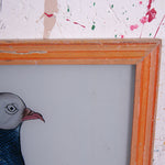 pigeons-picture-3