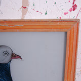 pigeons-picture-3