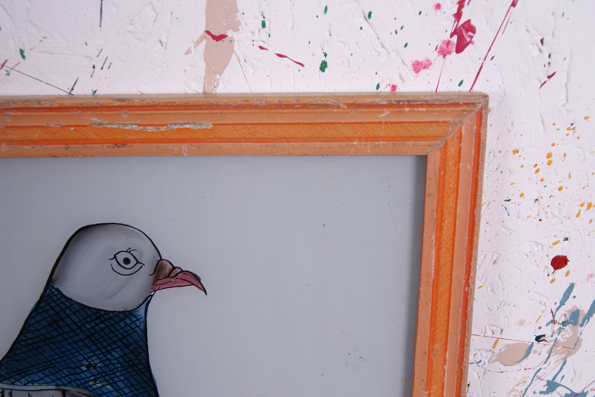pigeons-picture-3