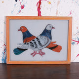 pigeons-picture