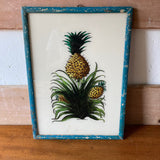 pineapples-1