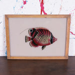 pink-fish-picture-1