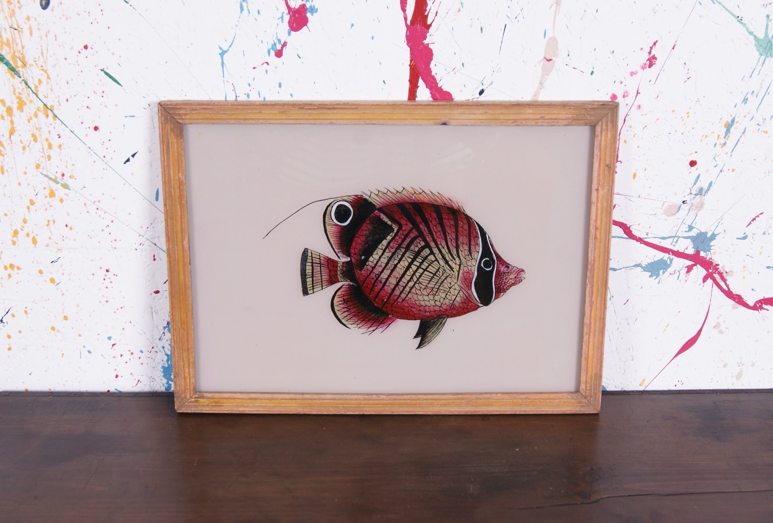 pink-fish-picture-1