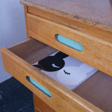 plan-chest-6