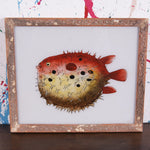puffer-fish-1