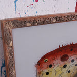 puffer-fish-picture-3