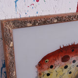 puffer-fish-picture-3