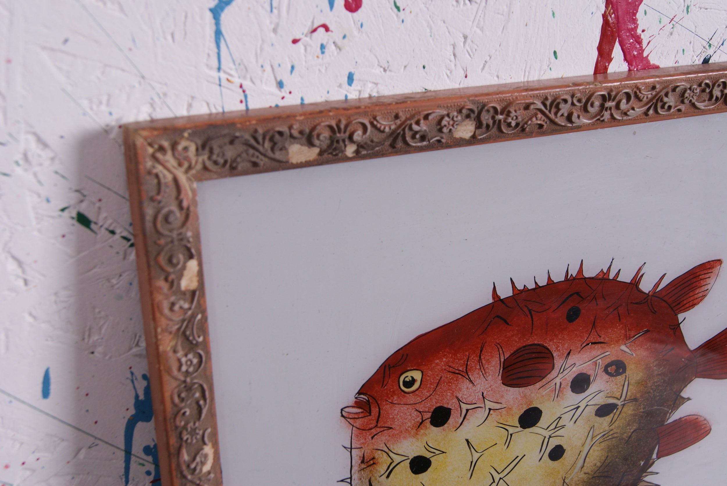 puffer-fish-picture-3