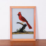 red-bird-picture-1