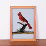 red-bird-picture-1