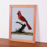 red-bird-picture-2