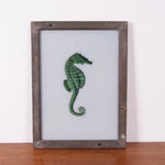 seahorse-picture-1