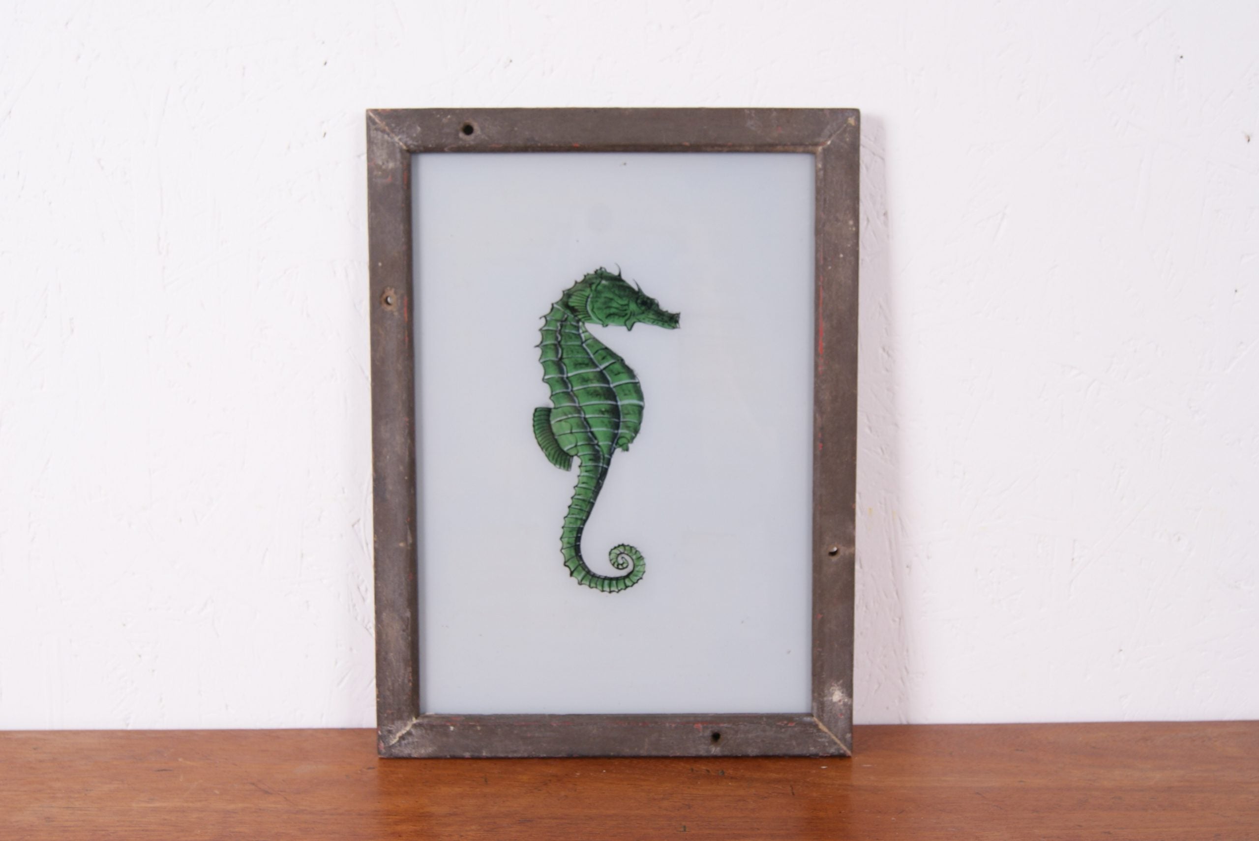 seahorse-picture-1
