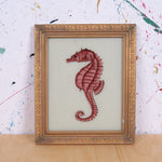 seahorse-picture-1
