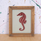 seahorse-picture-1