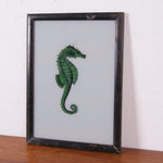 seahorse-picture-2