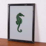 seahorse-picture-2