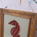 seahorse-picture-2