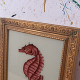 seahorse-picture-2
